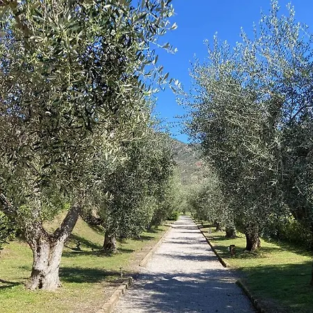Sant'anna Del Volterraio - I Lecci 6 Apartament Portoferraio